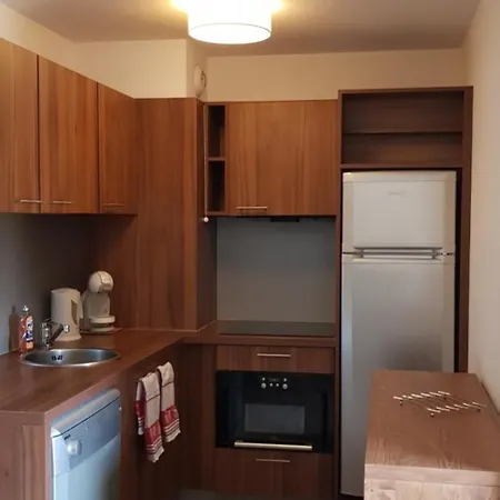 Neige Et Confort Apartment